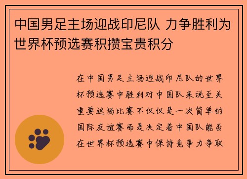 中国男足主场迎战印尼队 力争胜利为世界杯预选赛积攒宝贵积分